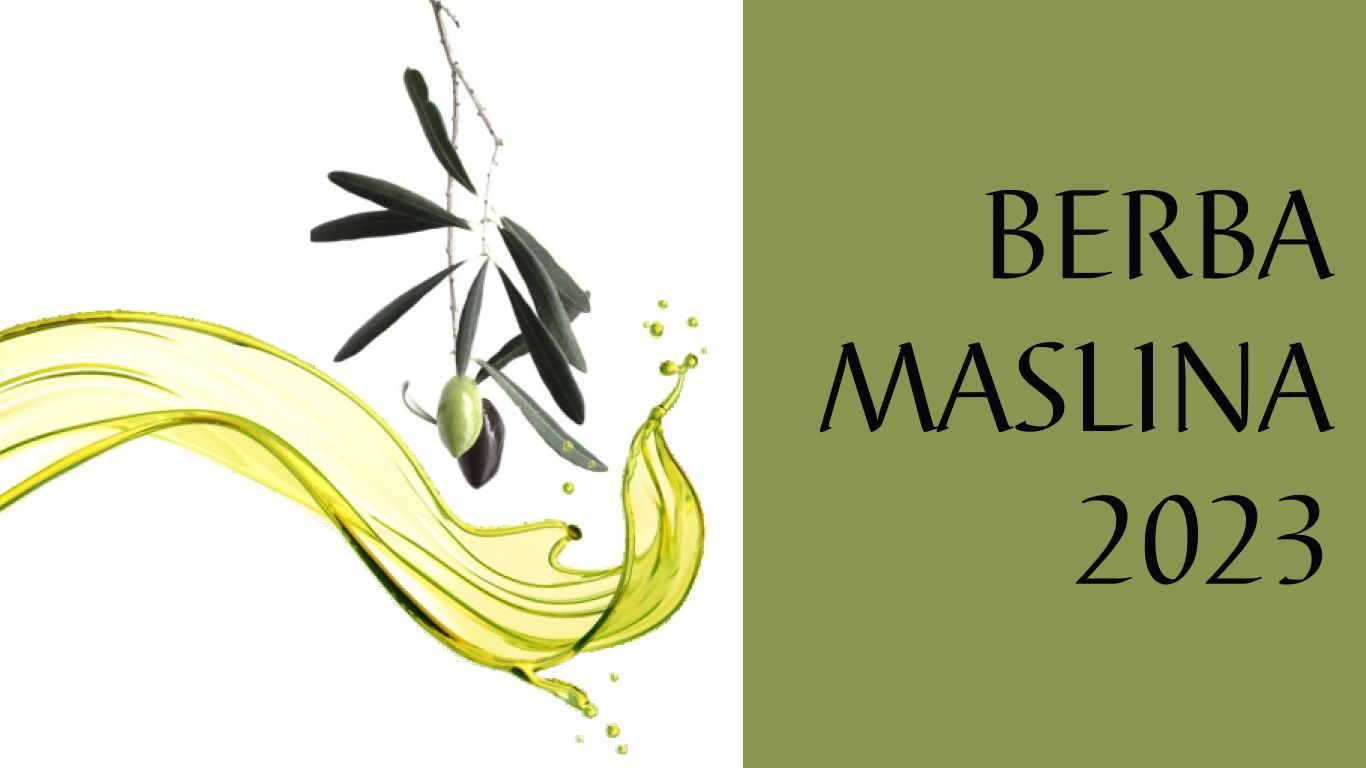 Berba Maslina Publish